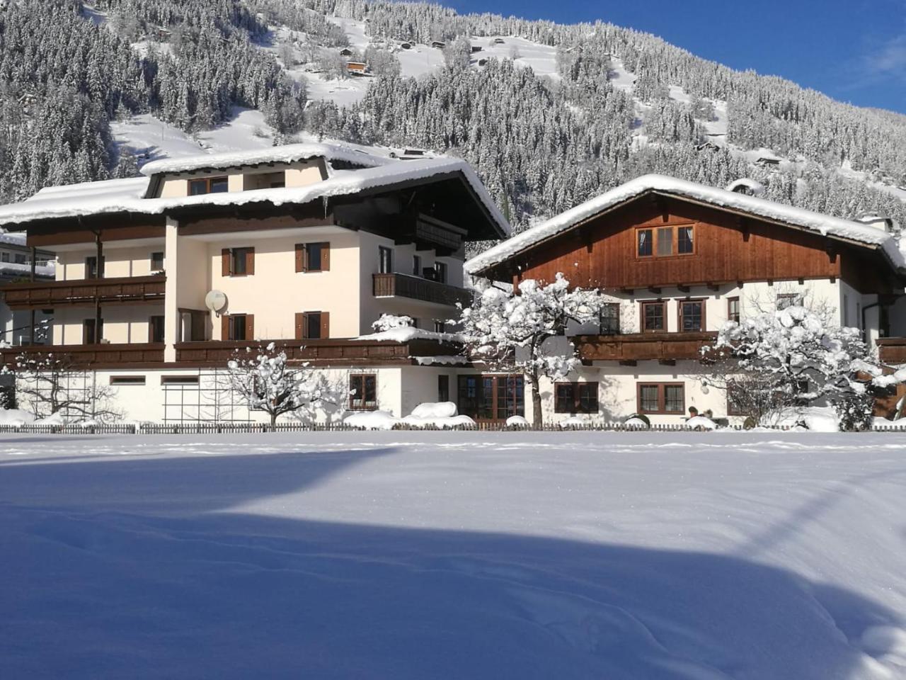 Apartment Appartement Schneeberger *